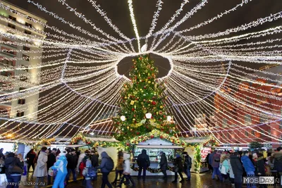 Москва | Фотографии | №500.759 (Новогодняя елка на Манежной)