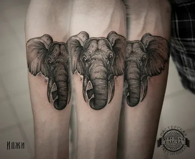 Слон на предплечье - фото татуировок