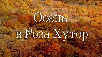 ПРИЮТ ПАНДЫ -, Роза Хутор, Краснодарский кр. - Красная Поляна, Россия