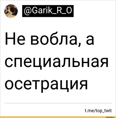 вобла / смешные картинки и другие приколы: комиксы, гиф анимация, видео,  лучший интеллектуальный юмор.