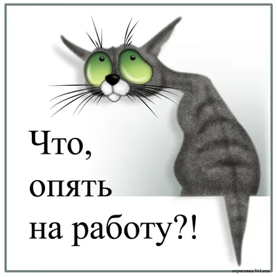 Доброе утро опять на работу картинки прикольные - 67 фото