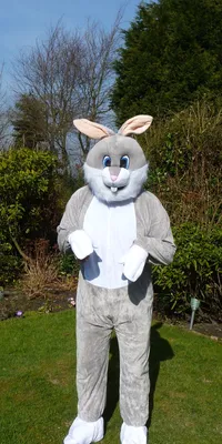 картинки : Пушистый, кролик, весело, костюм, талисман, Пасхальный заяц,  прикольное платье 1233x2461 - - 814814 - красивые картинки - PxHere