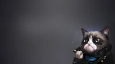 Обои на рабочий стол Сердитый кот с сигарой, обои для рабочего стола,  скачать обои, обои бесплатно