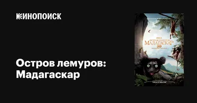 Красновато-серый мышиный лемур - Чернышев О. . Подробное описание  экспоната, аудиогид, интересные факты. Официальный сайт Artefact