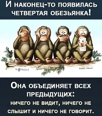 Угарные картинки про обезьян (50 фото) » Юмор, позитив и много смешных  картинок