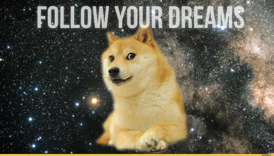 doge :: 1920x1080 :: обои для рабочего стола :: follow you dreams / смешные  картинки и другие приколы: комиксы, гиф анимация, видео, лучший  интеллектуальный юмор.