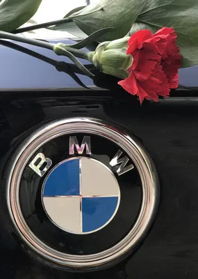 Bmw car with red flower .. Valentines | Bmw wallpapers, Bmw, Bmw love