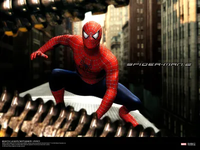 SPIDER MAN