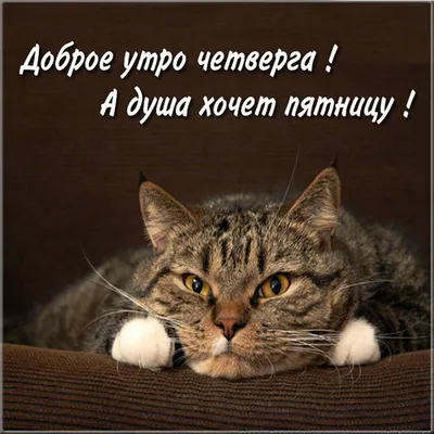 А не подскажете, как пройти к Новому Году? - А это совсем рядом, всего две  недели до него...))). Обсуждение на LiveInternet - Российский Сервис  Онлайн-Дневников