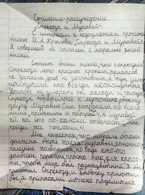 Сочинение-рассуждение ученика начальной школы о басне Крылова «Стрекоза и  муравей» (фото) » Невседома - жизнь полна развлечений, Прикольные картинки,  Видео, Юмор, Фотографии, Фото, Эротика. Развлекательный ресурс. Развлечение  на каждый день