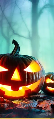 Хеллоуин (Halloween -приколы на хеллоуин - прикольные костюмы, тыквы, шутки  и юмор про хелоуин) :: продолжение в коментариях :: обои на рабочий стол ::  подборка :: праздник / смешные картинки и другие