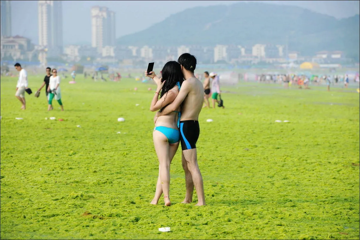 Фото приколы 2024. Желтое море Циндао. Циндао пляжи. Пляж в Китае. Циндао фото пляжей.