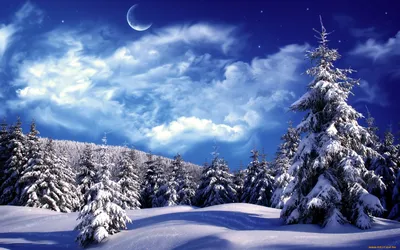 светит якрая луна над зимним лесом-ОБОИ- на рабочий стол-Зима бесплатно