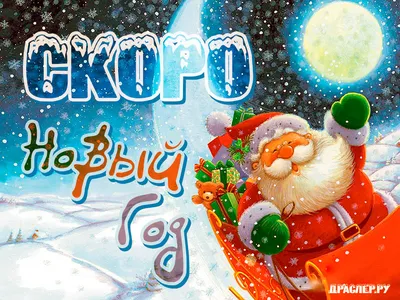 Скоро Новый Год 2019 картинки - смешные и прикольные