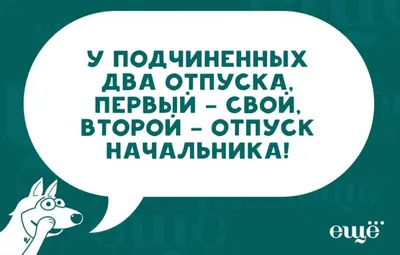 Свинки-приколы кружка 250 мл Отпуск Stor 290998 - купить в Москве, цены на  Мегамаркет