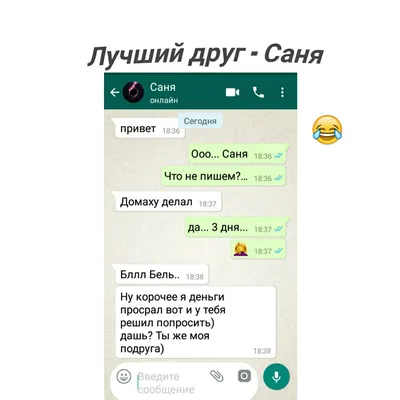 Переписки Юмор😂😂 Лучший друг Саняя | Юмор, Мемы, Сани