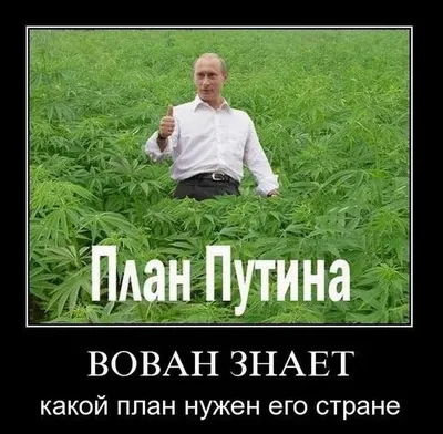 Приколы политика фото