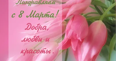 Поздравляем с 8 марта открытки, поздравления на cards.tochka.net