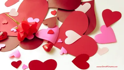 Прикольные картинки на 14 февраля. Красивые картинки на День Валентина