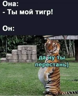 Приколы про это фото