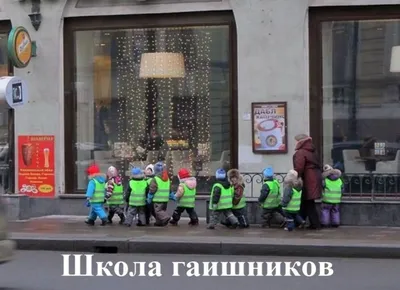 ГИБДД начала нагло штрафовать водителей за перевозку в машине жены и детей  - ГАИ - АвтоВзгляд