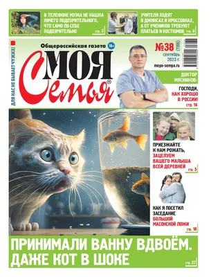 От ГАИ до роддома: россияне рассказали, куда заказывают доставку - СМИ 24  НОВОСТИ