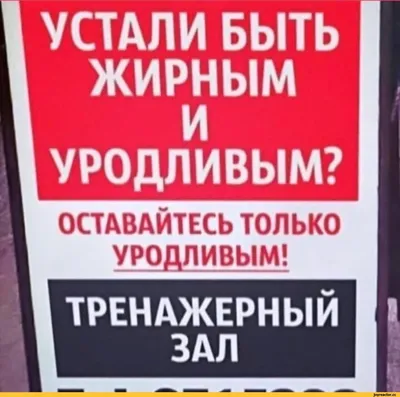 УСТАЛИ БЫТЬ ЖИРНЫМ И УРОДЛИВЫМ? ОСТАВАЙТЕСЬ ТОЛЬКО УРОДЛИВЫМ! ТРЕНАЖЕРНЫЙ I  * ЗАЛ / Приколы для даунов :: мотивация :: разное / картинки, гифки,  прикольные комиксы, интересные статьи по теме.