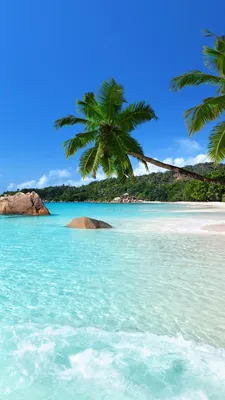 Картинки лето на заставку телефона (50 фото) • Прикольные картинки и  позитив | Tropical island beach, Beach wallpaper, Beautiful beaches