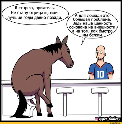 Как устроены тренировки в конно-спортивной школе. Прикольные фото лошадей  от моей средней дочки. | КИСА🐈 БЕЗ НАРЦИССА 😹😹😹 | Дзен