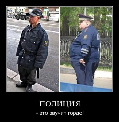 Последние приколы про полицейских (60 фото) ⚡ Фаник.ру