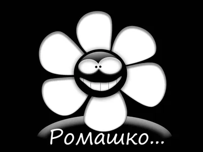 Обои на рабочий стол Ромашко, улыбающийся цветок, обои для рабочего стола,  скачать обои, обои бесплатно