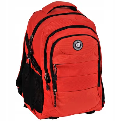 Рюкзак, Рюкзаки Paso, красный, 50 см, 35 L цена | pigu.lt