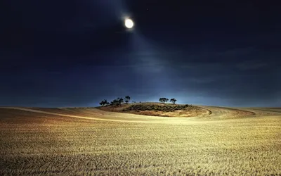 Фото ночь, свет, поле, луна - Природа - Обои на рабочий стол - Галерейка