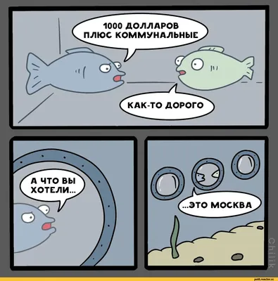 русский военный корабль иди нахуй / смешные картинки и другие приколы:  комиксы, гиф анимация, видео, лучший интеллектуальный юмор.