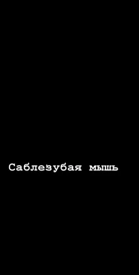 Поздние свидания, 1980 — описание, интересные факты — Кинопоиск