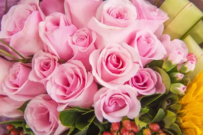 Обои Цветы Розы, обои для рабочего стола, фотографии цветы, розы, букет,  много Обои для рабочего стола, скачать обои картинки заставки на рабочий  стол.