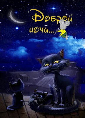 черный кот с пожеланием доброй ночи - Открытки - Доброй ночи