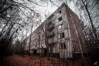 Прогулялся в 1-м микрорайоне г. Припять Чернобыльской зоны. Это место может  навести печаль на любого, кто попадет сюда | ComDig | Urban Exploration |  Дзен