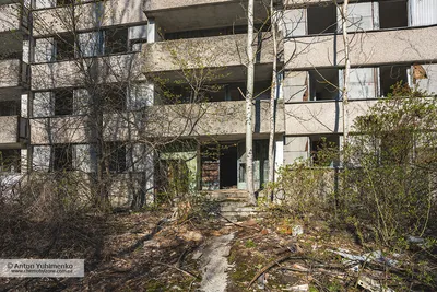 Припять превращается в лес — Экскурсии с Chernobyl Zone