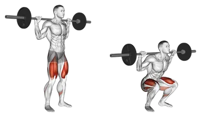 Приседание со штангой - базовое упражнение | Фитнес блог Елены Арестовой |  Дзен