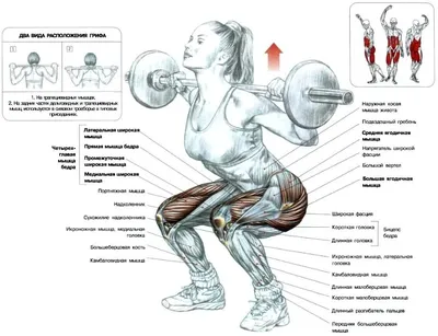 Приседание со штангой