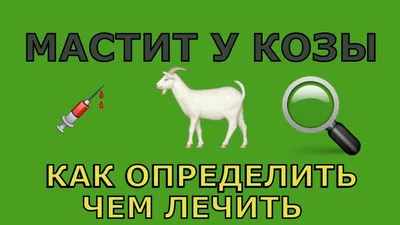 Мастит у козы | Ветеринария коз форум на Fermer.ru / Стр. 4 из 13