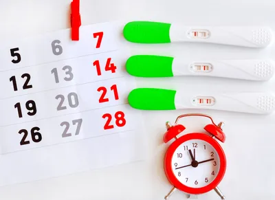 КАК РАССЧИТАТЬ ОВУЛЯЦИЮ - как составить календарь овуляция для успешного  зачатия