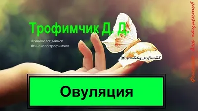 Овуляция — что это такое? - ginekologi.by