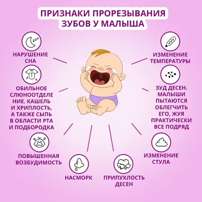 Как понять, что у малыша режутся зубки? | Беременность и материнство ФЭСТ |  Дзен