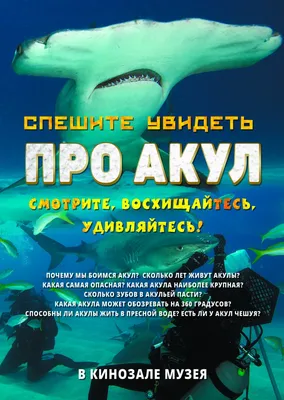 Лучшие фильмы про акул - список фильмов ужасов про акул-убийц и мегалодонов  | Канобу