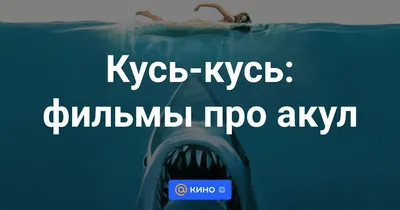 В каких морях и на каких курортах мира водятся акулы, убивающие туристов -  Hi-News.ru