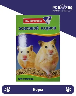 Виды и породы хомяков - описание, фото, содержание и уход за хомяком в  домашних условиях | Заповедник