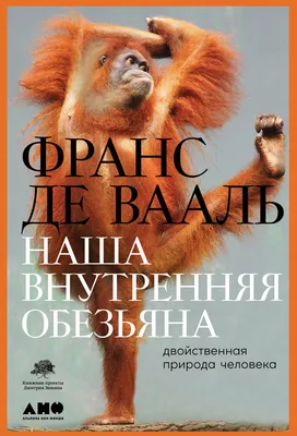 Остров обезьян: путешествие из Санья 🧭 цена экскурсии $78, отзывы,  расписание экскурсий в Санья