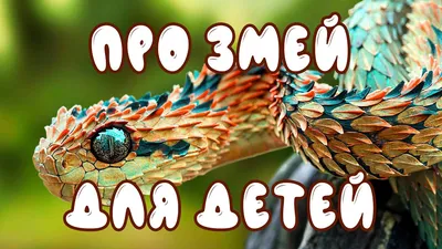 Болезни змей и амфибий - Ветеринарный центр Природа